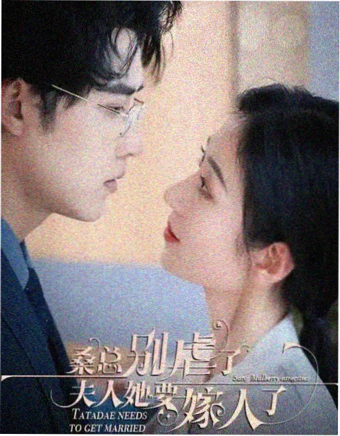 长街灯火 免费看电影网站年代剧封面
